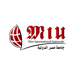 Misr International University, digital, marketing